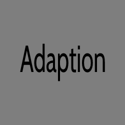 Adaption - Area 6